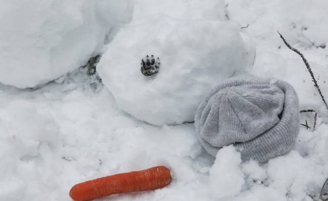 В Москве прогнозируется морозное Рождество