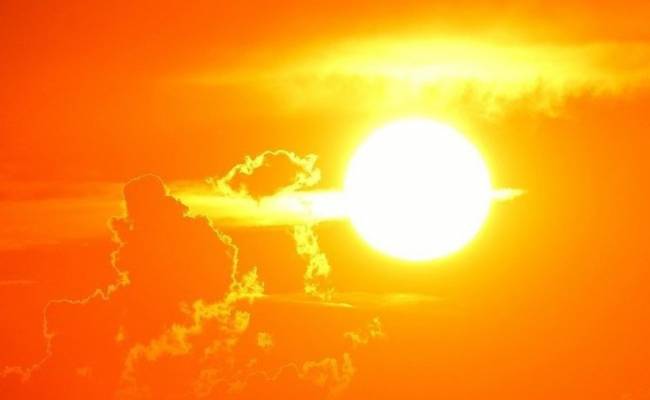 Климатологи назвали 2023 год рекордно жарким