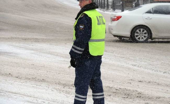 Российские полицейские спасли сбитого машиной пса и помогли ему вернуться домой