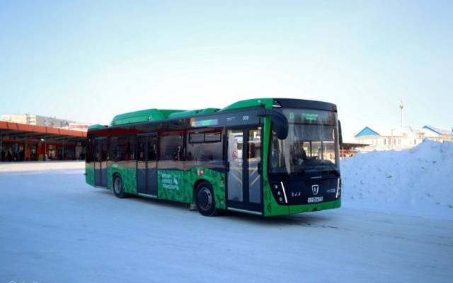 Школьник обморозил нос в ожидании автобуса в Челябинской области