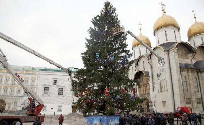 Стала известна судьба новогодней кремлевской ели