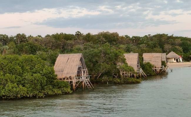 Названа главная причиной рекордной смертоносной засухи в Амазонии