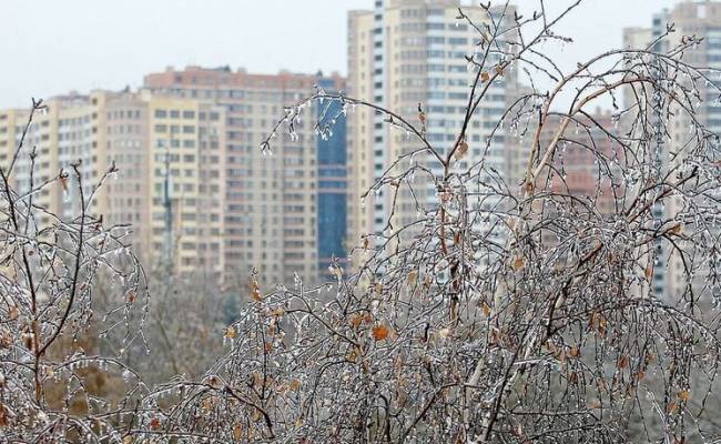 «Оранжевый» уровень погодной опасности объявили в Москве и Подмосковье