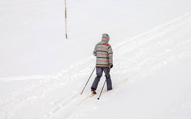 Лыжник потерялся в лесу. Что случилось в Москве и области к утру 13 февраля