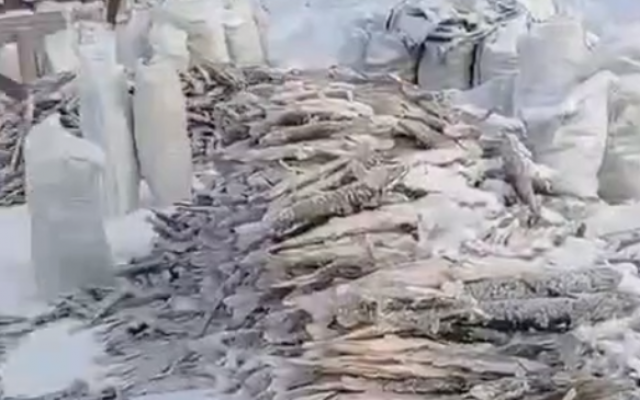 Росрыболовство в Югре проводит проверку после вылова нескольких тонн рыбы