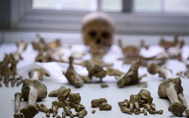 В стене нашли кости. Что случилось в Москве и области к утру 14 февраля