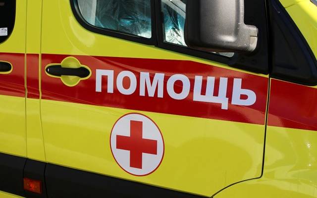 В Ленобласти алабай растерзал свою хозяйку во дворе дома