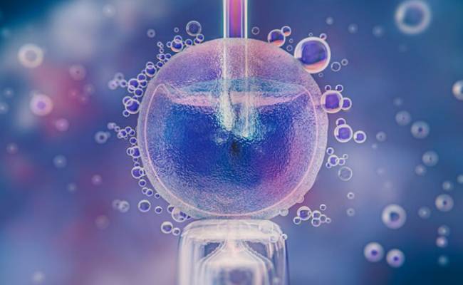 Гибель замороженных эмбрионов приравняли к смерти несовершеннолетнего