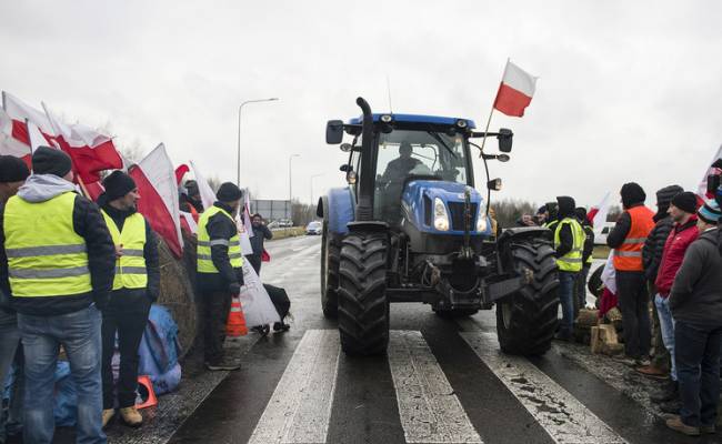 Зерновые бои: пытаясь насолить Украине, польские фермеры пошли против воли США