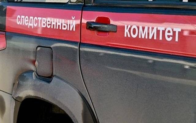 РИА Новости: владельца ЧЭМК отвезли на допрос по делу о мошенничестве