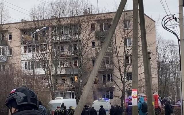 Пёс спас пожилую хозяйку во время ЧП на Пискарёвском проспекте в Петербурге