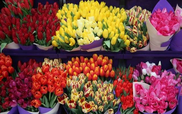 В Подмосковье украли КамАЗ с тюльпанами на 3 миллиона рублей