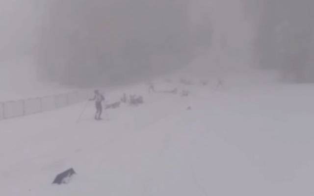 Вяльбе: при массовом завале на гонке в Сочи серьезно пострадали 3 лыжницы
