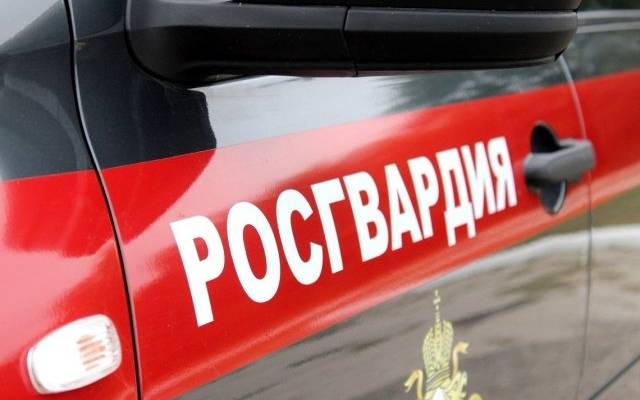 Росгвардия и ВС РФ участвуют в отражении нападения украинской ДРГ у Теткино