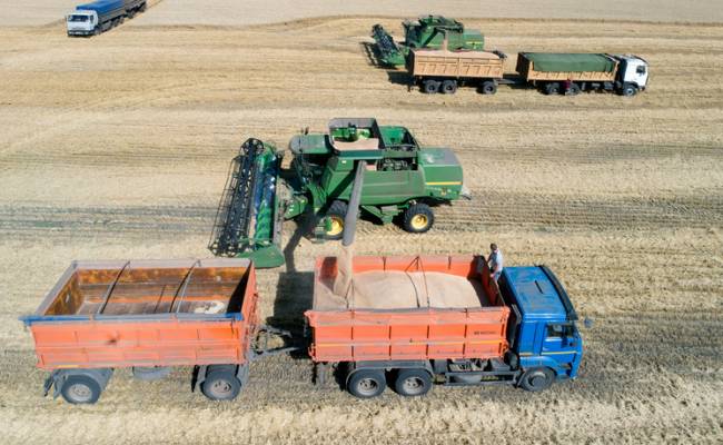 Россия стала мировым лидером по экспорту зерновых