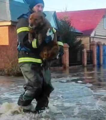 Вода и беда. Эксперты раскрыли, как помогут пострадавшим от паводка в Орске