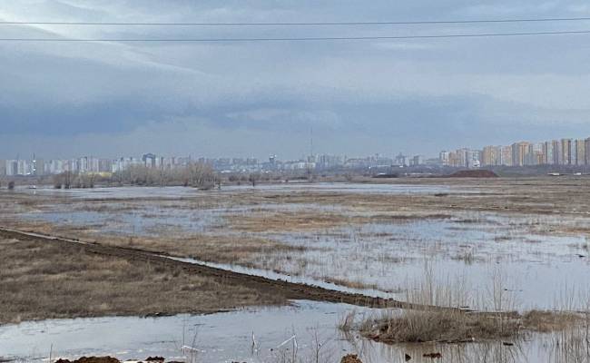 Уровень воды в реке Урал у Оренбурга поднялся на 28 сантиметров