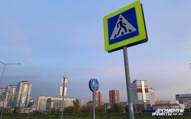 В Волгограде водитель иномарки сбил четверых детей на пешеходном переходе
