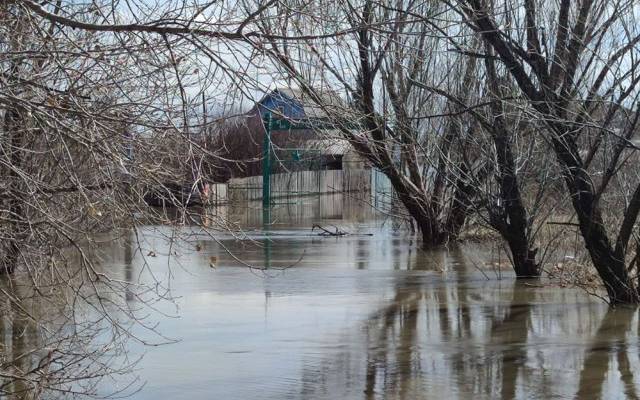 МЧС: в Курганской области подтоплены 305 домов и 685 приусадебных участков