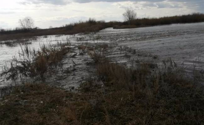 Уровень воды в реке Тобол в Кургане достиг отметки опасного явления