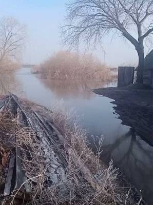 Уровень воды в реке Тобол в Кургане достиг отметки опасного явления