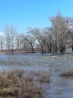 Уровень воды в реке Тобол в Кургане достиг отметки опасного явления