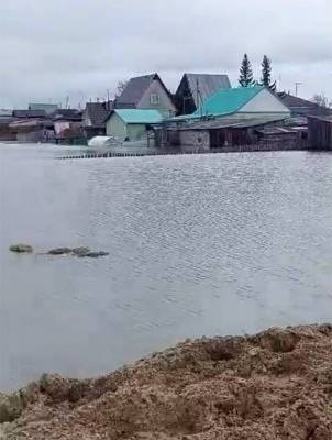 Уровень воды в реке Тобол в Кургане достиг отметки опасного явления