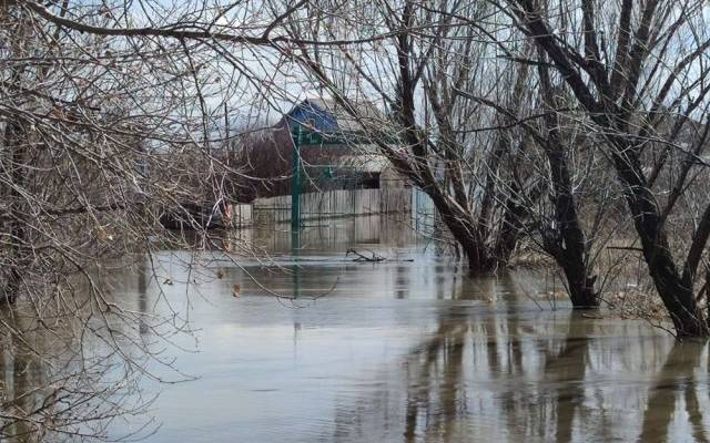 Уровень воды в реке Тобол у Кургана начал снижаться