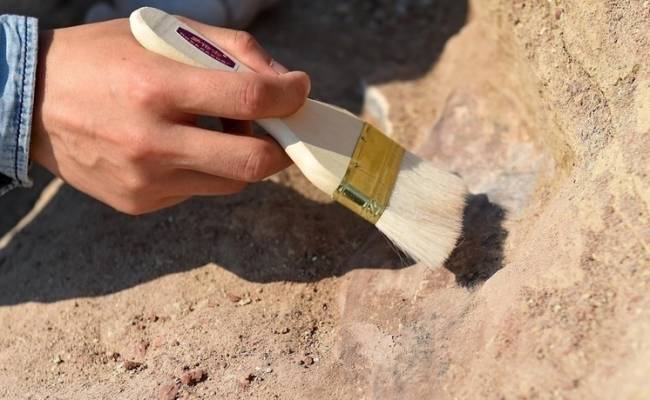 Потрясающая находка: останки вымершего тысячелетия назад вида людей найдены в кухонной плитке