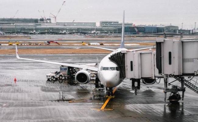 Дипломаты обратились в МИД Турции из-за недопуска россиян на рейсы Turkish Airlines в Мексику