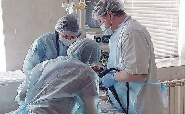 Российские врачи достали из желудка ребенка полукилограммовый камень