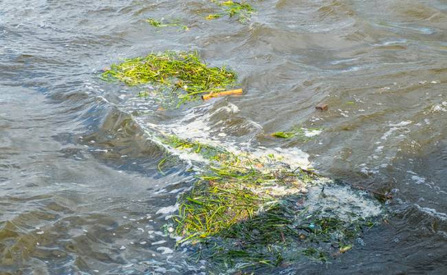 Уровень воды в реке Тобол у Кургана составил 970 сантиметров
